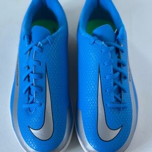 New Nike Vibrant Blue and Metallic Silver Sneakers